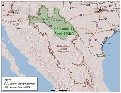 About - The Chihuahuan desert