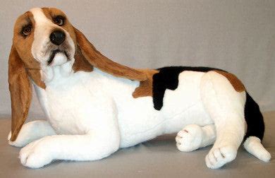 "Fred" Basset Hound – Big Furry Friends