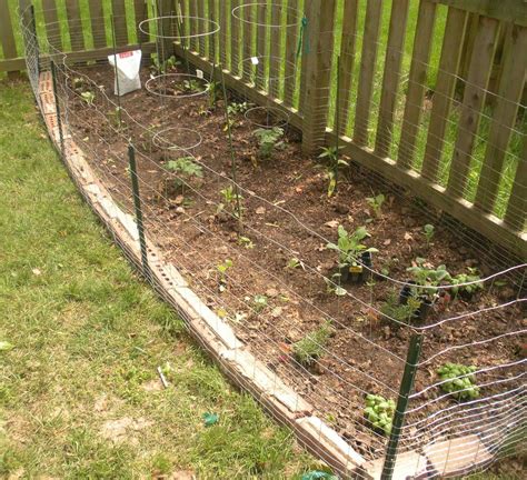 The Best How To Fence Your Vegetable Garden Ideas