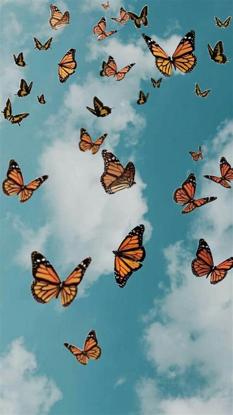 pinterest// addisynxx in 2020 | Butterfly wallpaper, Cute patterns wallpaper, Butterfly ...