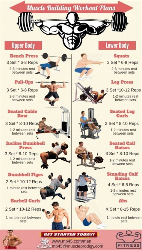 Muscle Building Workout Routine For Men | Muscle building workout plan ...