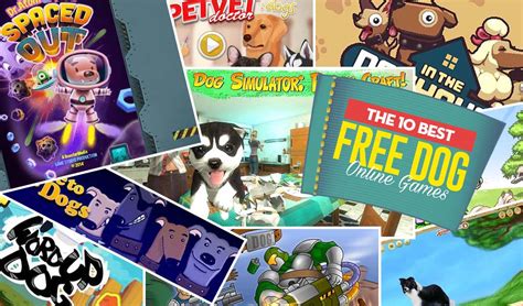 10 Most Addictive Free Dog Games Online — Top Dog Tips