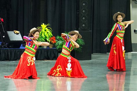 Midwestern City Girl: Annual Weekend of Culture: Holiday International Folk Fair