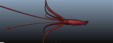 ArtStation - Game Ready Rigged Giant Squid | Resources