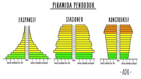 PIRAMIDA PENDUDUK - YouTube