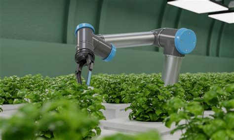 Innovations in Vertical Farming Technology - GreenState AG