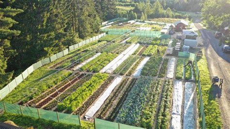 MARKET GARDENING | Richard Perkins