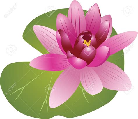 Pink water lily clipart 20 free Cliparts | Download images on Clipground 2023