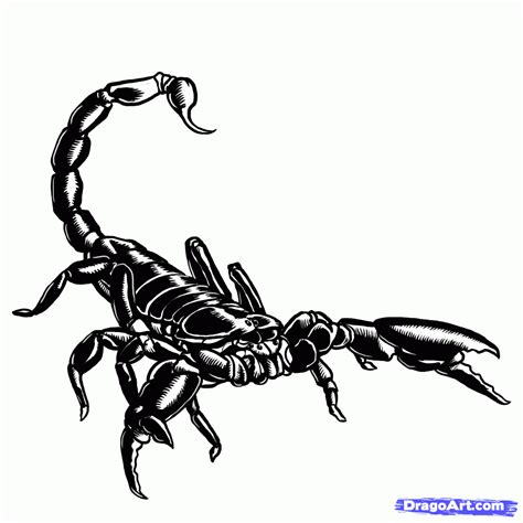 How To Draw A Simple Scorpion - My Blog - My Best Drawing Blog