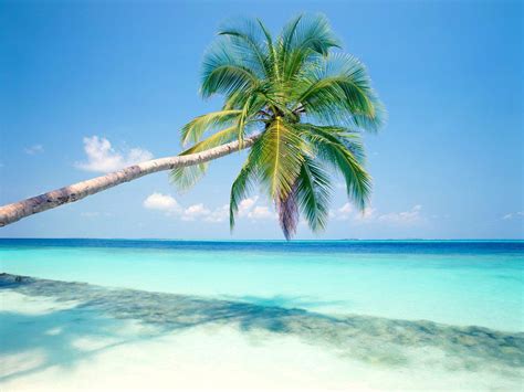 Tropical Island Wallpapers - Top Free Tropical Island Backgrounds ...