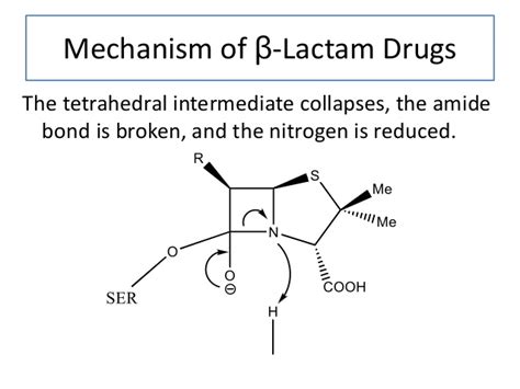 Beta-Lactamase and Microbial Antibiotic Resistance