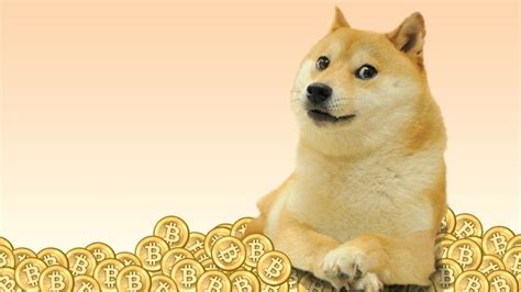 Dogecoin [DOGE]: DogePal releases a new version - Blockmanity