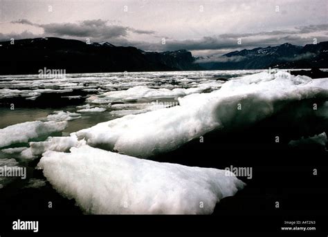 Arctic icebergs on Baffin Island NWT beginning to melt in summer seascape Stock Photo - Alamy