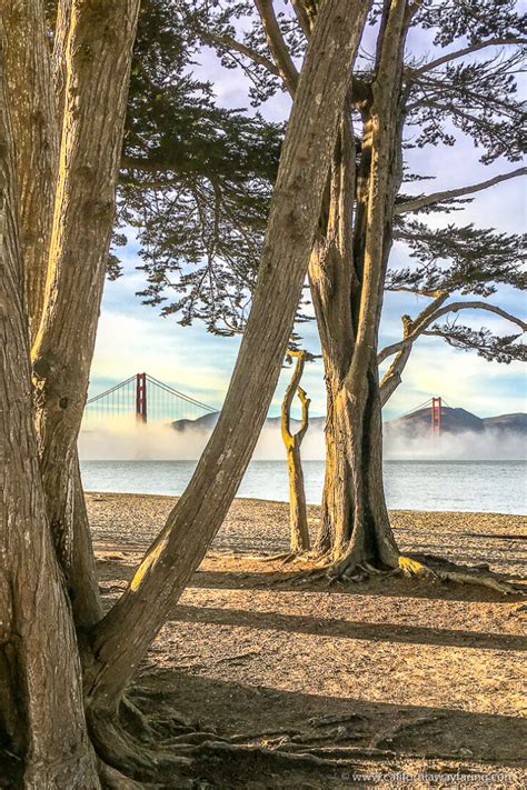 5 Self-Guided Walking Tours in San Francisco - FREE Maps Too!