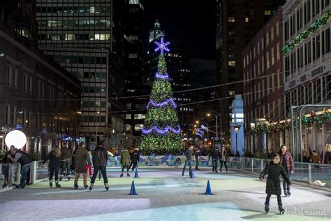 South Street Seaport – Christmas Tree 2013 | photoframd.com