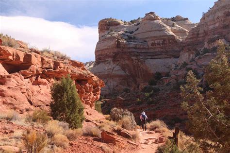 Lower Calf Creek Falls - Grand Staircase's Signature Falls