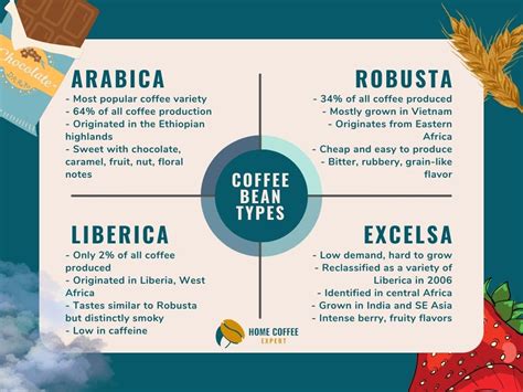 Types of Coffee Beans: List of Varietals [With Taste Profile]