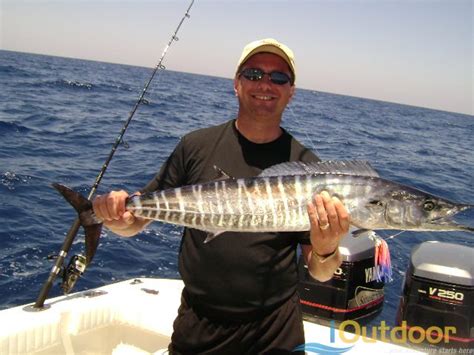 Why is a Wahoo Fish Called a Wahoo? - iOutdoor Adventures Fishing Tips