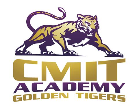 CMIT Academy