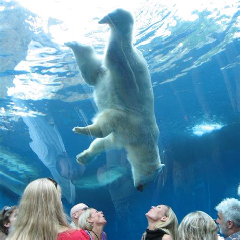 Pittsburgh Zoo & PPG Aquarium - All You Need to Know BEFORE You Go