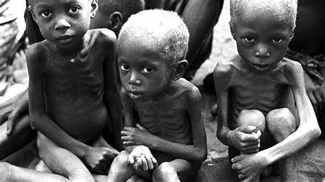 Hunger Problem In Africa - She Males Free Videos