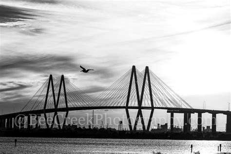 Fred Hartman Bridge BW