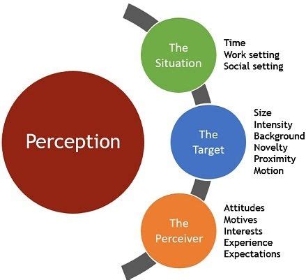 What is the Perception? - How To Discuss