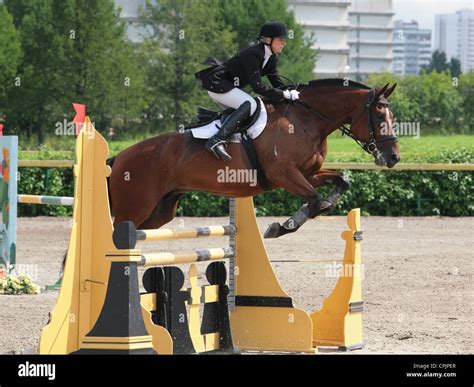 Equestrian show jumping hi-res stock photography and images - Alamy