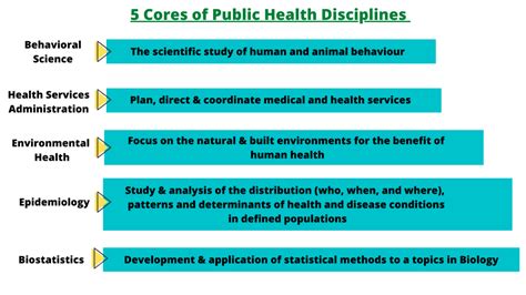 What is Public Health? Public Health Degrees & Careers in Australia ...