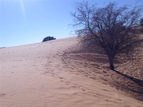 Kalahari Desert Nature Sand Dunes - Free photo on Pixabay - Pixabay