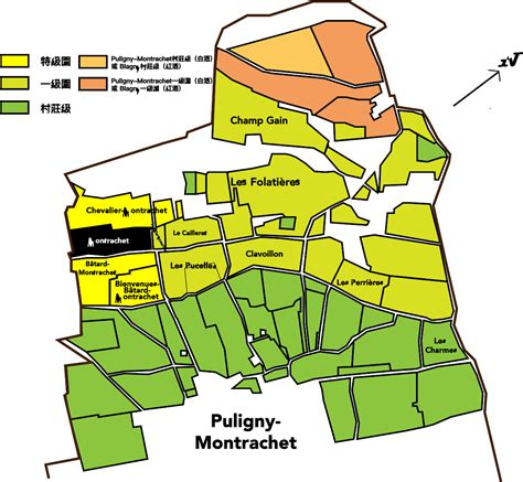 Montrachet Grand Cru, Jean Chartron - 王府酒業