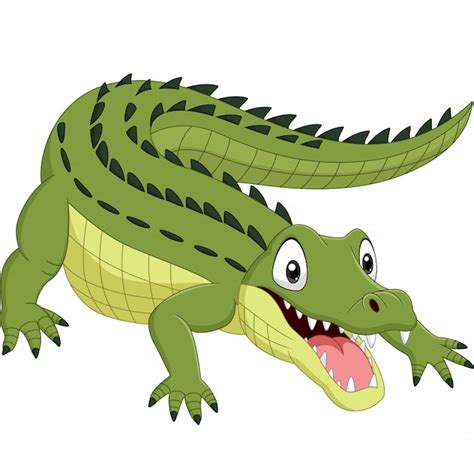 Premium Vector | Cartoon crocodile isolated on white background