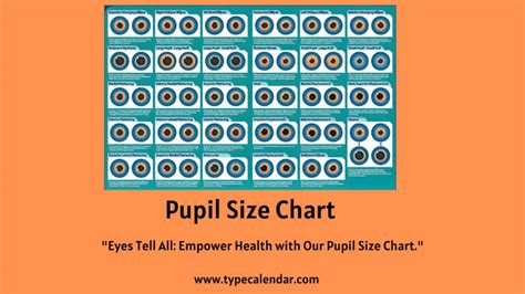 Free Printable Pupil Size Charts [PDF] & Actual Size, MM, Scale