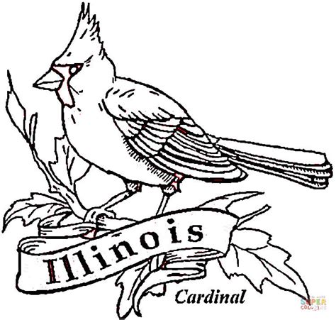 Gambar Cardinal Bird Illinois Coloring Page Free Printable Click Pages ...