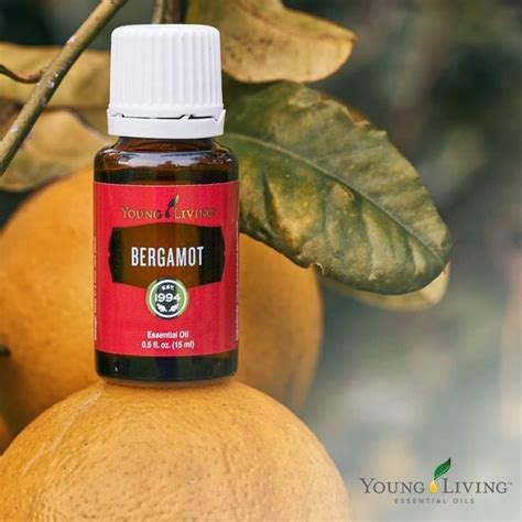 Bergamot Essential Oil | Essential oil blends recipes, Bergamot ...