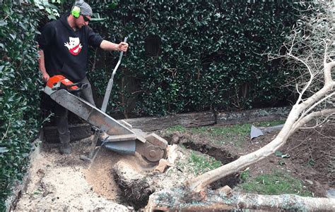 Cost To Grind Out Tree Stump | Stump Grinding | Stump Busters