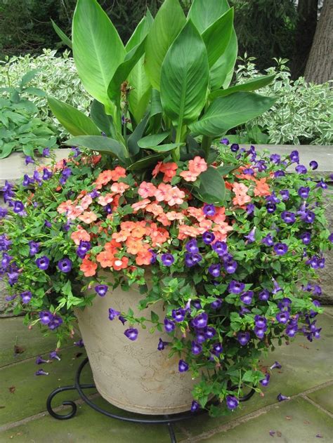 Award Winning Containers and Seasonal Flowers | Flowerscape ...