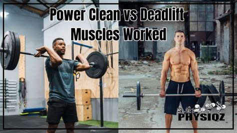 Power Clean vs Deadlift Muscles Worked (vs Hang Clean, Squat Clean and Press)