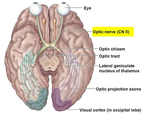 Optic Neuritis - Causes, Symptoms, Prognosis, Diagnosis & Treatment