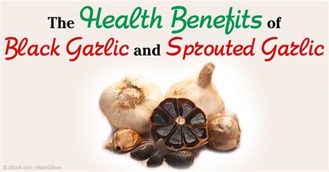 Black Garlic and Sprouted Garlic Have Many Health Benefits