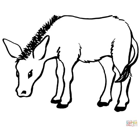 Little Donkey Coloring page | SuperColoring.com