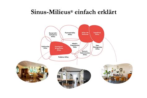 Sinus-Milieus International | SINUS-Institut