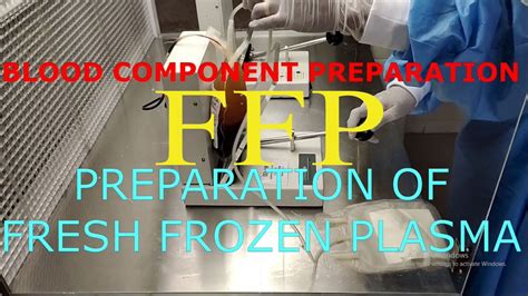 Fresh frozen plasma/FFP/Blood component preparation - YouTube