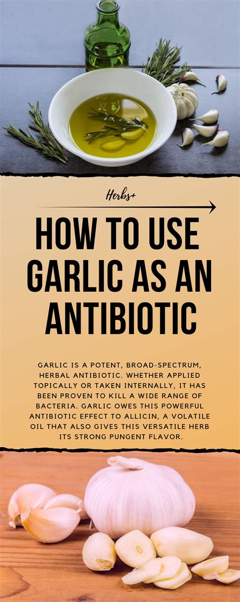 Garlic is a potent, broad-spectrum, herbal antibiotic. Whether applied topically or taken ...