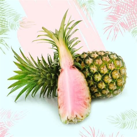 Pinkglow Pineapple | Everything You Need to Know About This