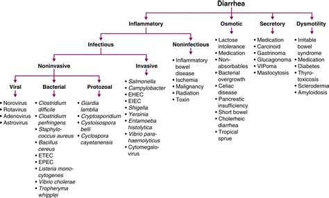 Pathophysiology Of Diarrhea