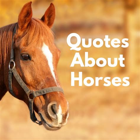 Quran Horse Quotes