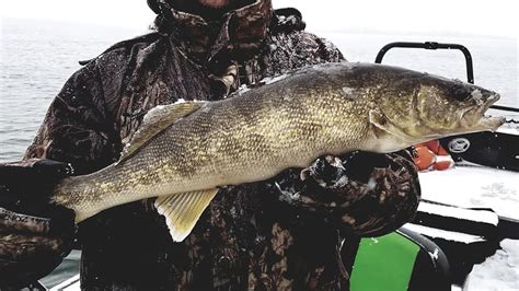 How To Find & Catch Walleye! (Walleye Fishing Tips & Tricks.) - YouTube