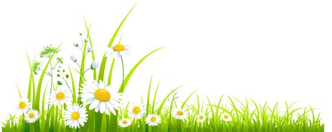 Free Spring Border Png, Download Free Spring Border Png png images ...