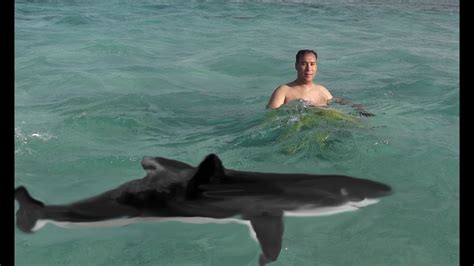 Man survives shark attack at Red Sea escapes grate white shark attack amazing shark attack ...